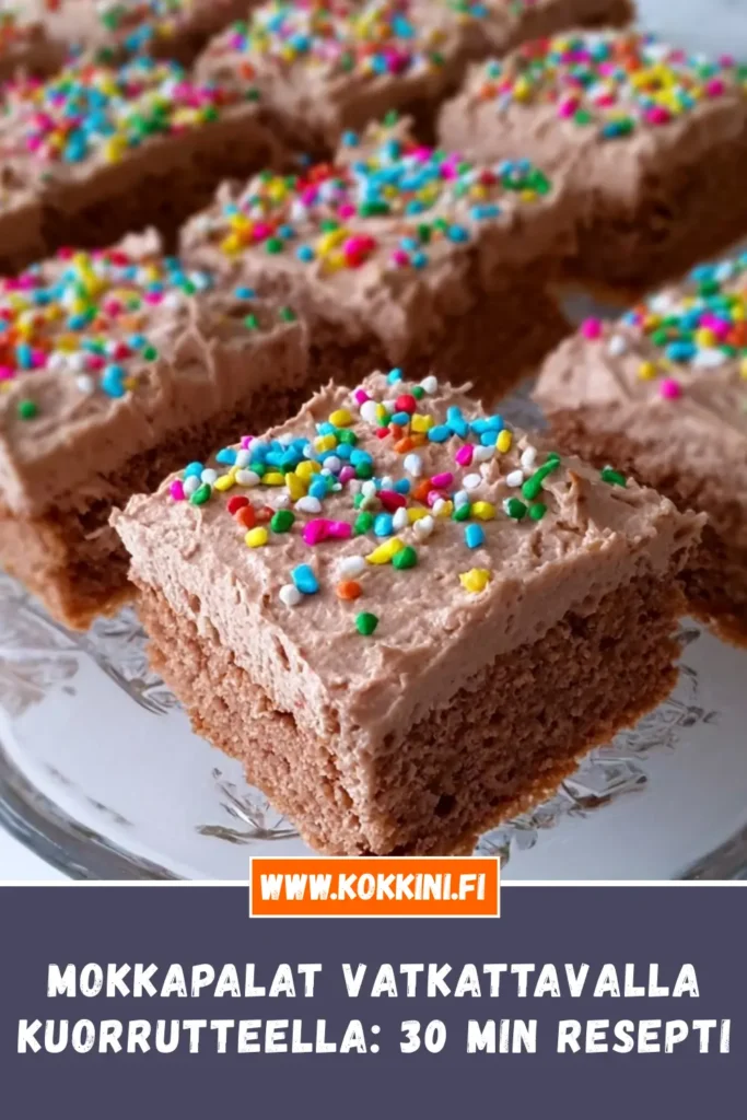 Mokkapalat vatkattavalla kuorrutteella: 30 min resepti