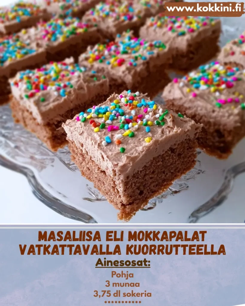 Mokkapalat vatkattavalla kuorrutteella: 30 min resepti