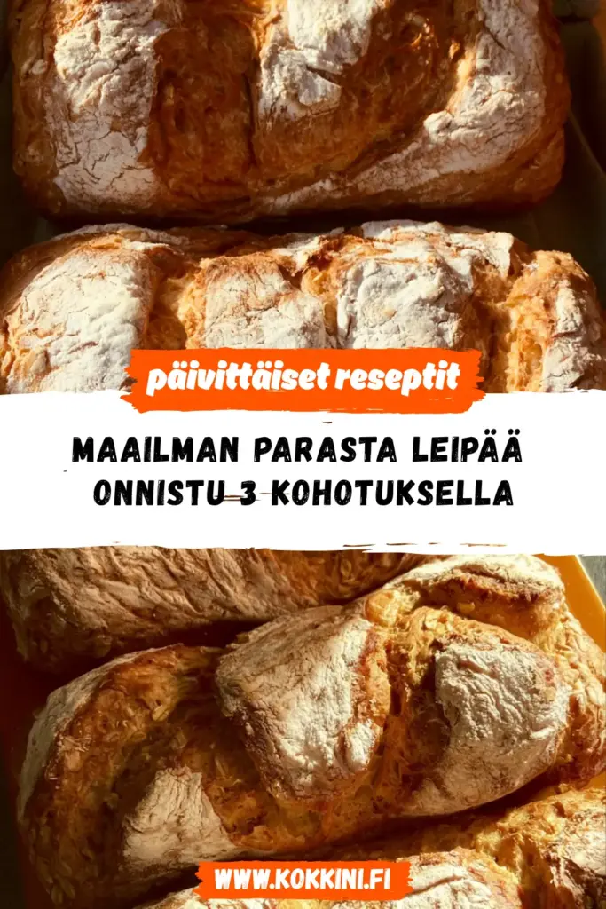 maailman parasta leipää reseptikuva valmiista annoksesta