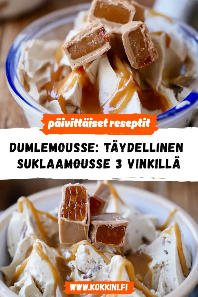 Dumlemousse reseptikuva valmiista annoksesta