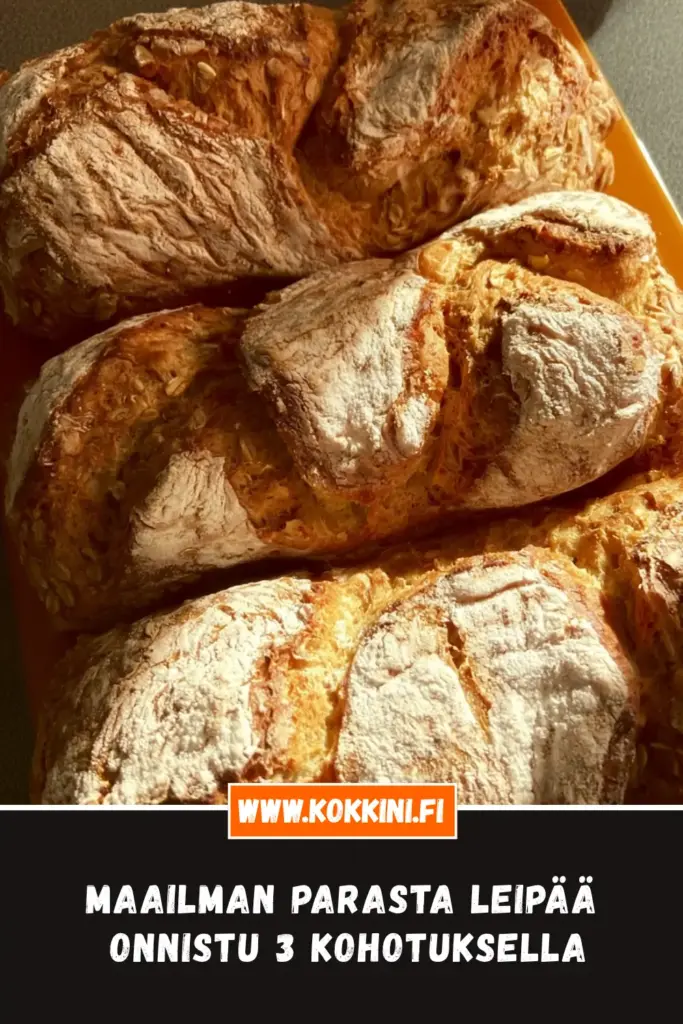 maailman parasta leipää lähikuva annoksesta