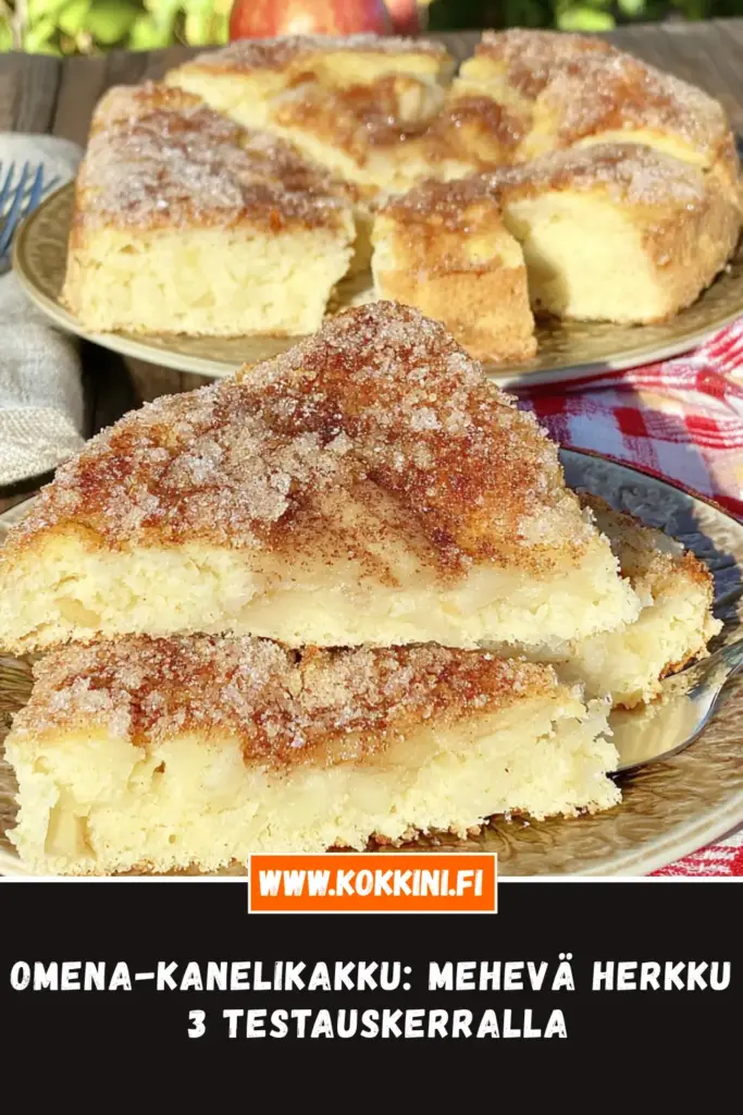 omena-kanelikakku lähikuva annoksesta